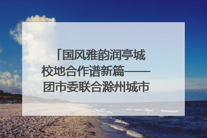 国风雅韵润亭城 校地合作谱新篇——团市委联合滁州城市职业学院助力传统文化“破圈”绽放